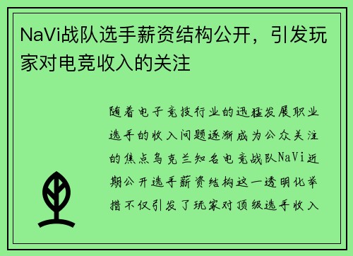 NaVi战队选手薪资结构公开，引发玩家对电竞收入的关注